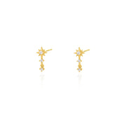 Sparkle Dangle Earrings