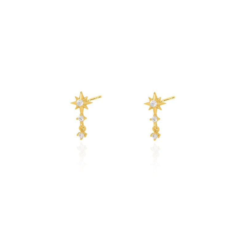 Sparkle Dangle Earrings
