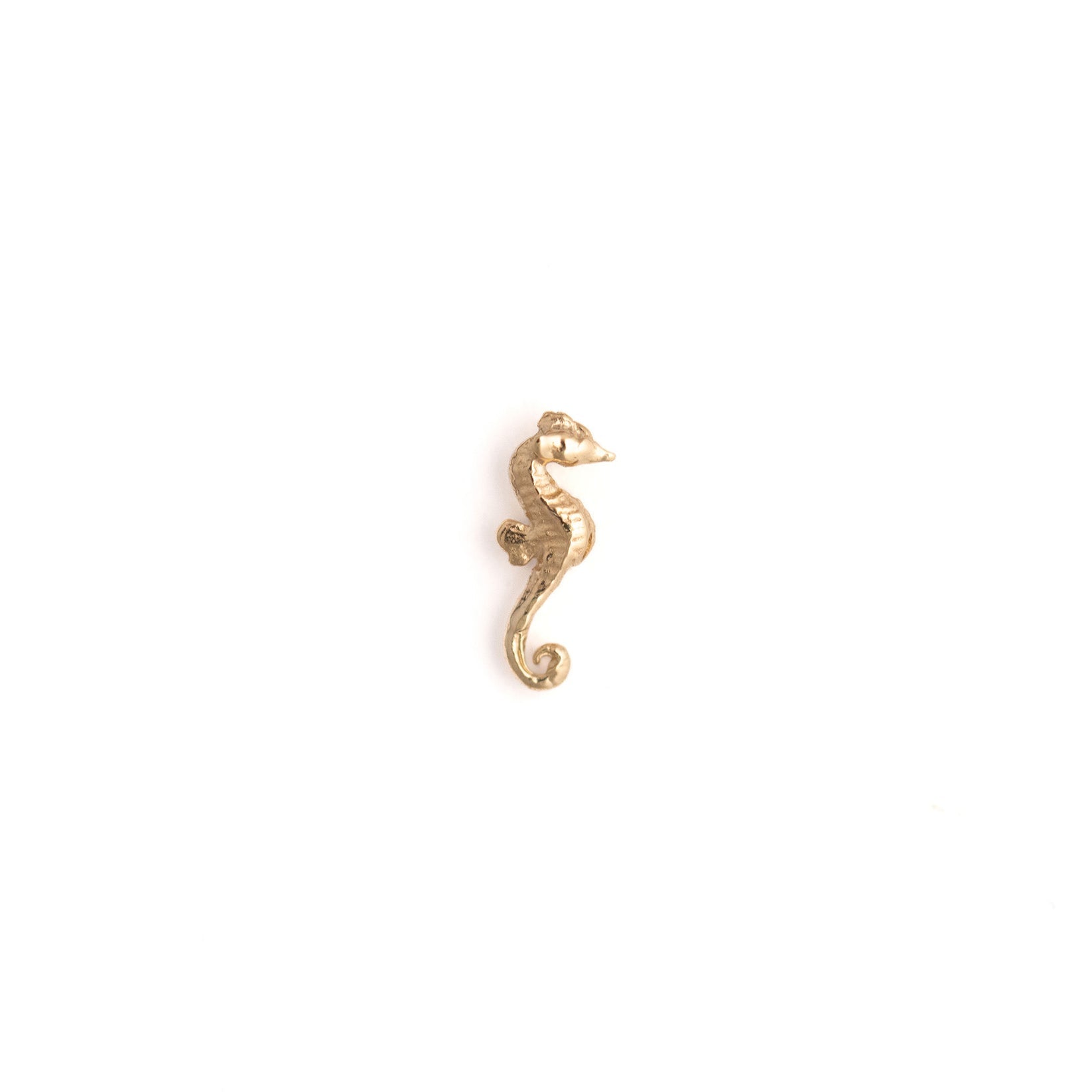 Seahorse Threadless Pin
